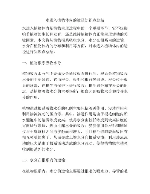 水进入植物体内的途径知识点总结