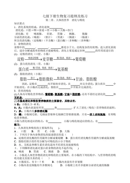 七年级下册生物复习资料