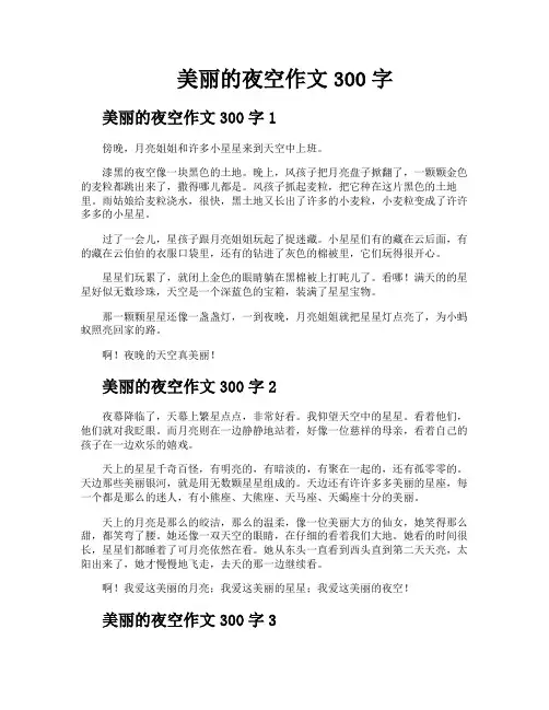 美丽的夜空作文300字