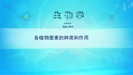 课件 5.2.1各植物激素的种类和作用   