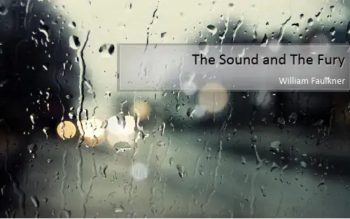 大学英语英美文学赏析,喧哗与骚动 The Sound and The Fury