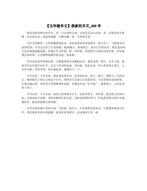 【五年级作文】我家的贝贝_400字