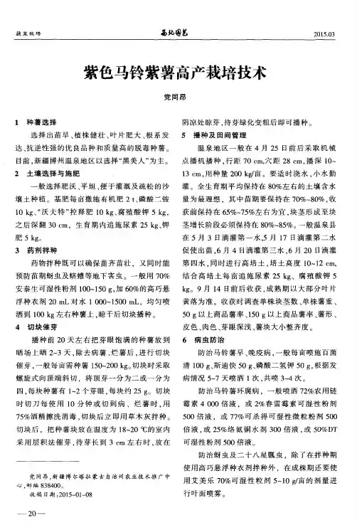 紫色马铃紫薯高产栽培技术