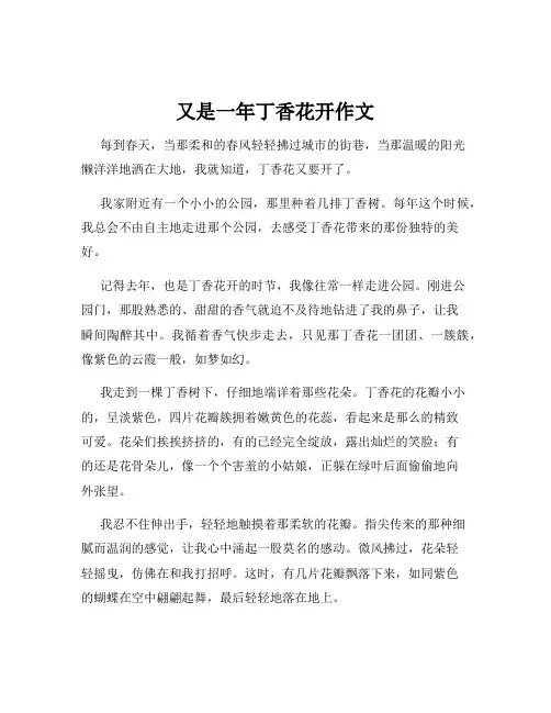 又是一年丁香花开作文