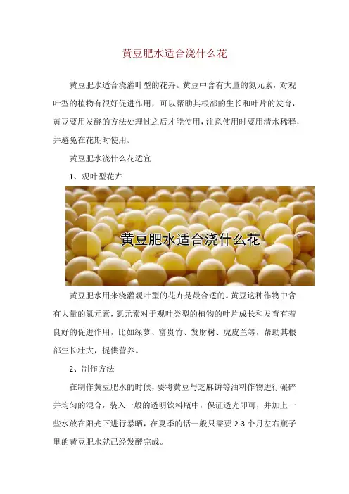 黄豆肥水适合浇什么花