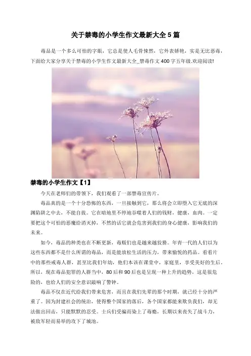 关于禁毒的小学生作文最新大全5篇