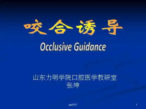 《咬合诱导》PPT课件