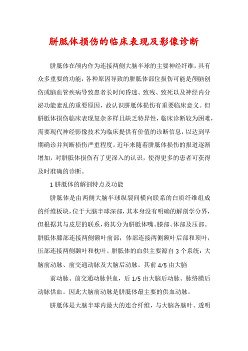 胼胝体损伤的临床表现及影像诊断