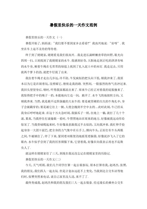 暑假里快乐的一天作文范例