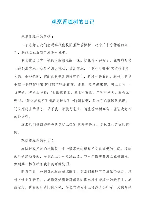 观察香樟树的日记