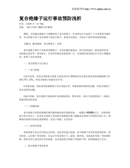 复合绝缘子运行事故预防浅析