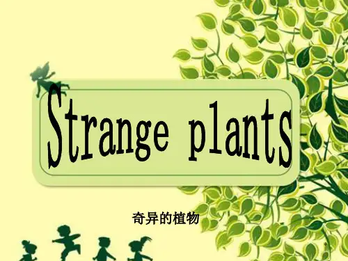 奇异的植物(英文PPT) (2)