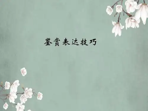 高考小说鉴赏表达技巧.ppt