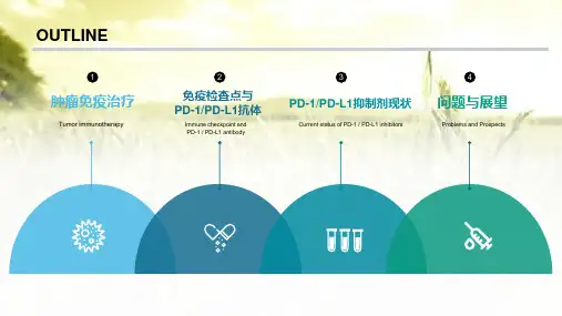 PD1PDL1抗体与肿瘤免疫治疗PPT课件