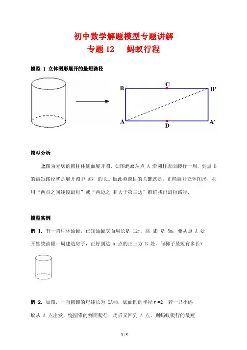 初中数学解题模型专题讲解12---蚂蚁行程
