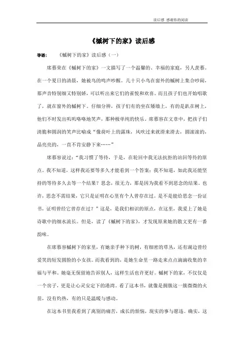 《槭树下的家》读后感