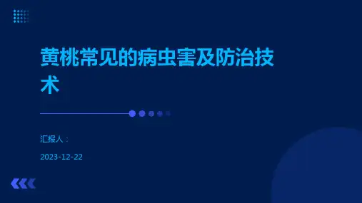 黄桃常见的病虫害及防治技术