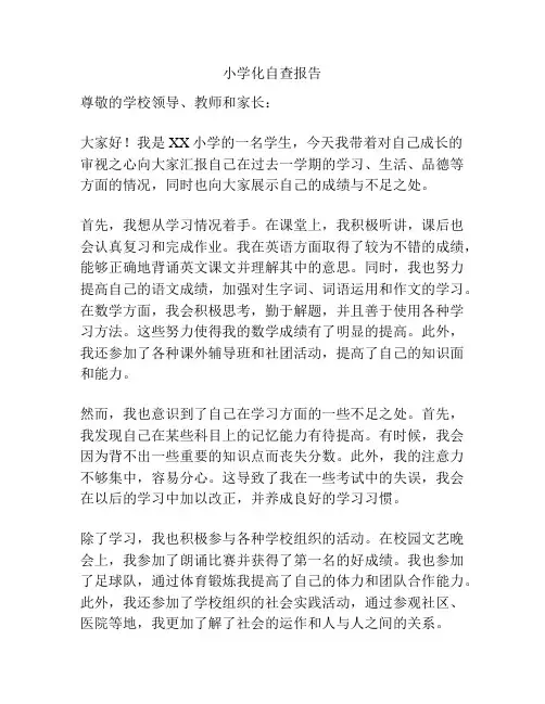 小学化自查报告