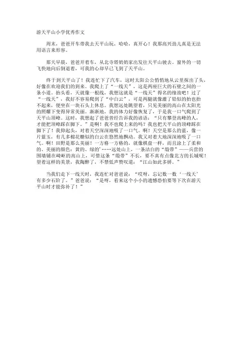 游天平山小学优秀作文