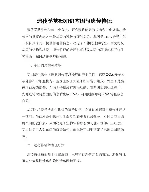 遗传学基础知识基因与遗传特征