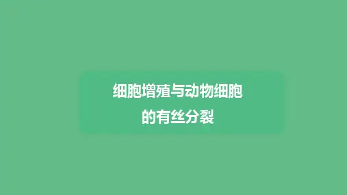 4.1.1细胞增殖与动物细胞的有丝分裂课件高一上学期生物
