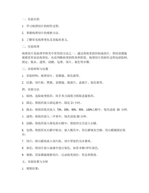 实验报告病理