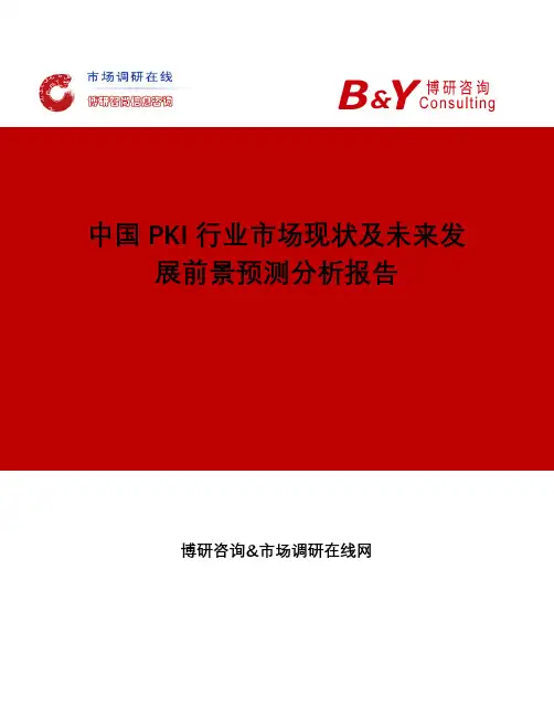 中国PKI行业市场现状及未来发展前景预测分析报告