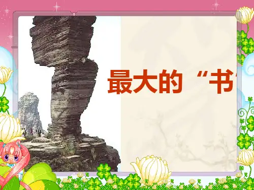 最大的书