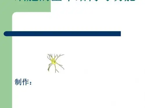 细胞的基本结构与功能PPT课件