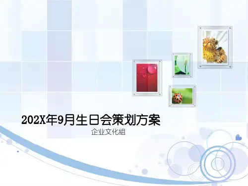 生日策划方案ppt模板