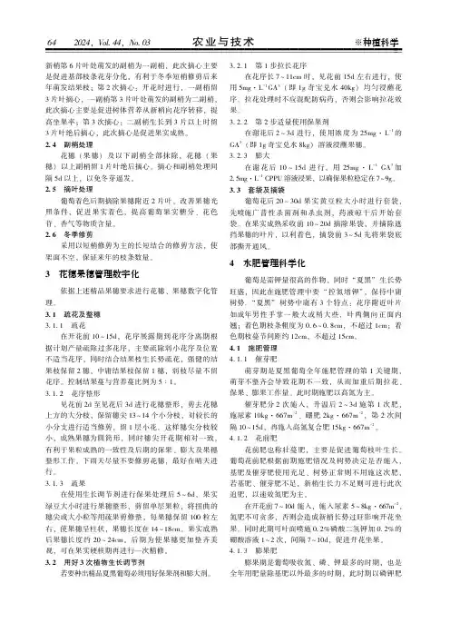 西藏地区精品夏黑葡萄数字化管理技术