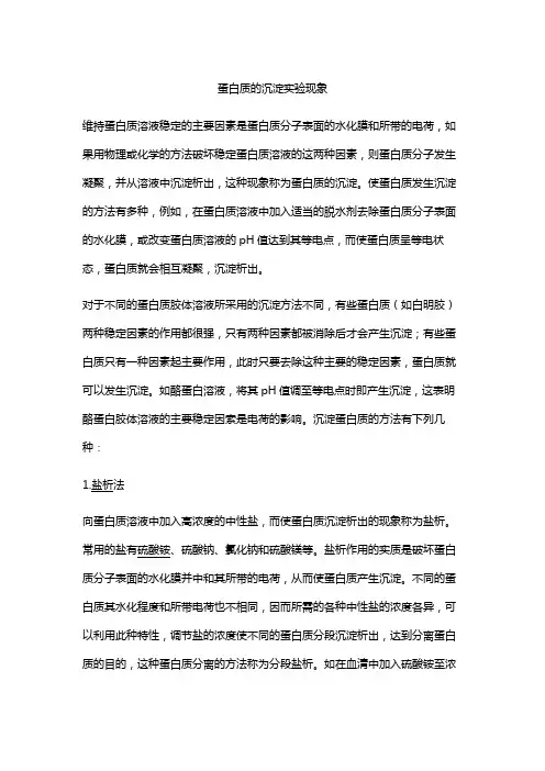 蛋白质的沉淀实验现象