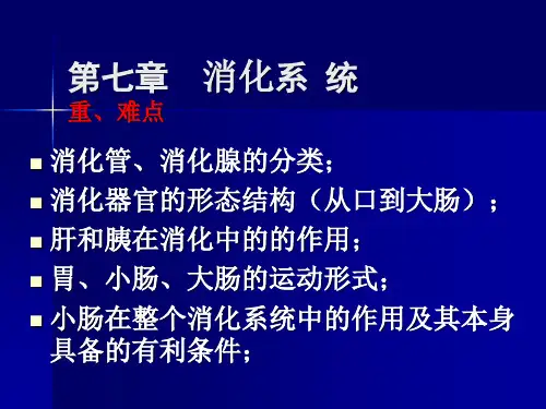 消化系统