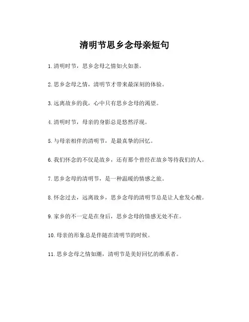清明节思乡念母亲短句