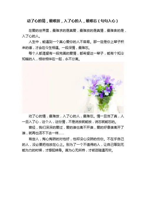 动了心的情，最难放，入了心的人，最难忘（句句入心）