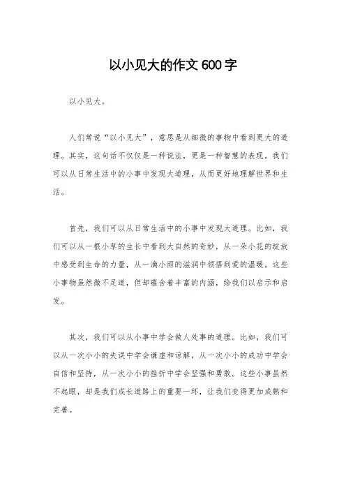 以小见大的作文600字
