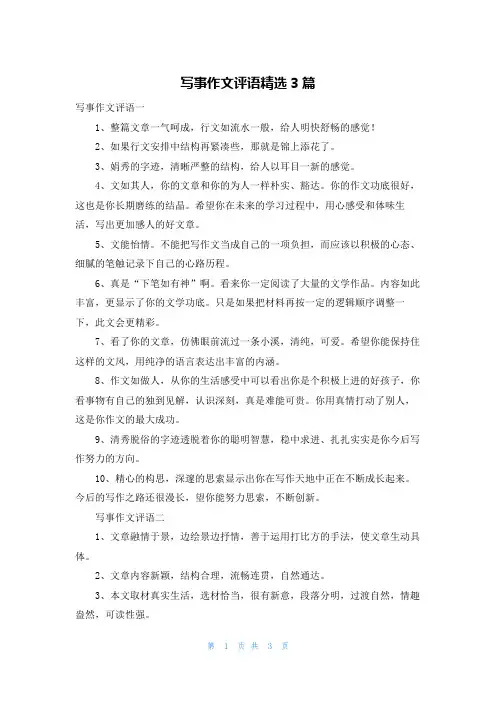 写事作文评语精选3篇