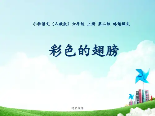 六年级-第二单元-彩色的翅膀