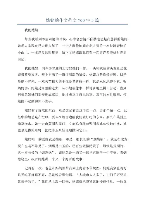 姥姥的作文范文700字5篇
