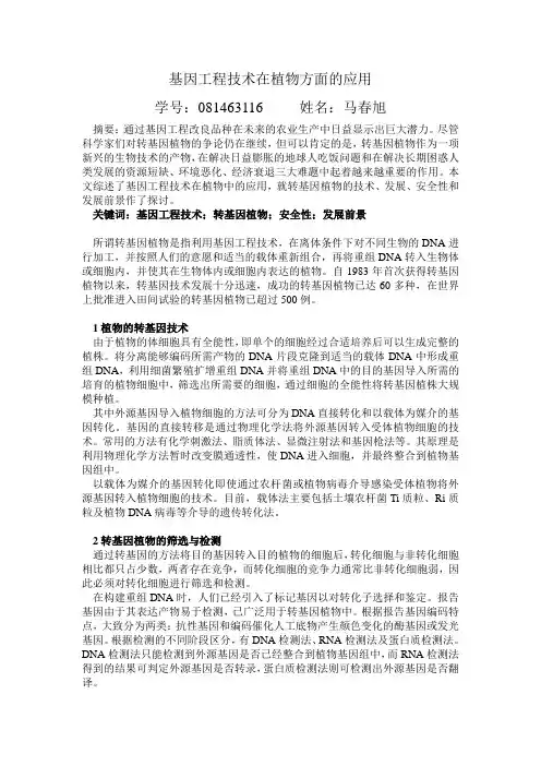 基因工程论文.doc