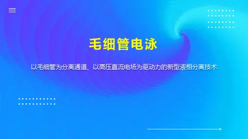毛细管电泳 