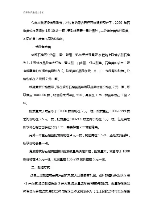 软籽石榴树苗2020年多少钱一颗
