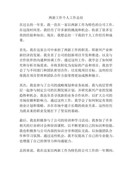 两新工作个人工作总结
