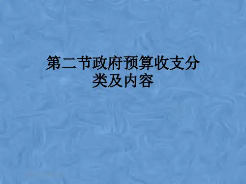 第二节政府预算收支分类及内容