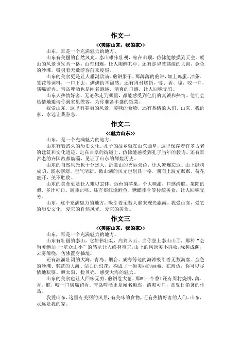 山东的作文300字以上