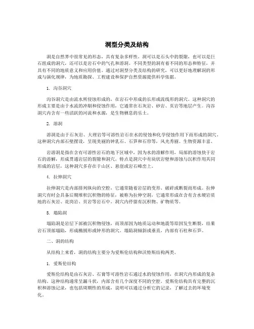 洞型分类及结构