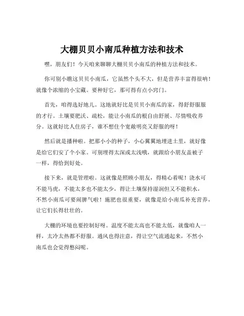 大棚贝贝小南瓜种植方法和技术