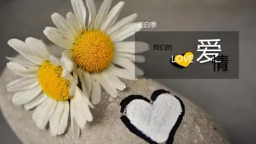 浪漫爱情求爱表白季PPT模板