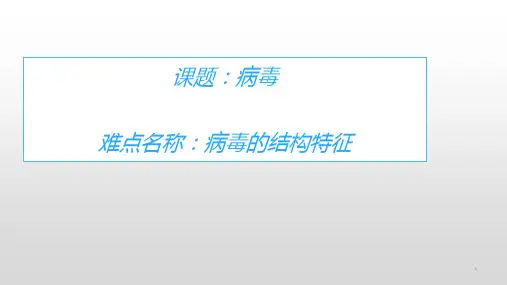 八年级生物上册教学课件-5.5病毒1-人教版
