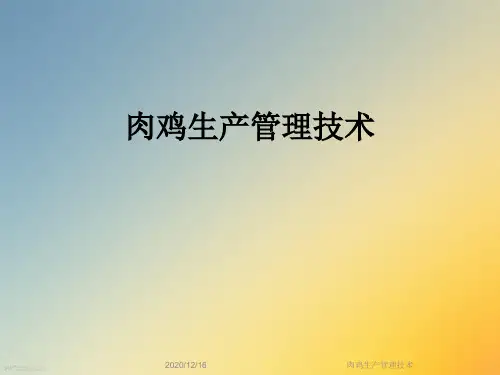 肉鸡生产管理技术